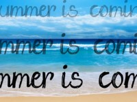 Do your shorts&nbsp;fit?